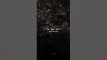 [سورة الروم : 40]﴿اللَّهُ الَّذِي خَلَقَكُمْ ثُمَّ رَزَقَكُمْ ثُمَّ يُمِيتُكُمْ ثُمَّ يُحْيِيكُمْ ۖ