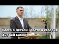 Пасха в Ветхом Завете и сегодня | Андрей Бабий