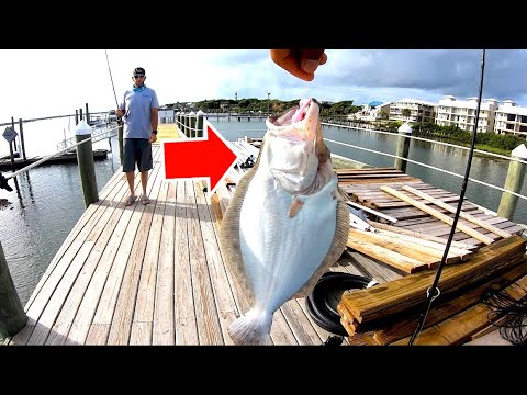 DOCK fishing is