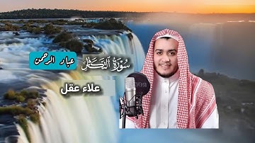 سورة التكاثر | علاء عقل