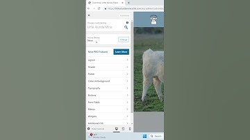 How to Change Header Color in WordPress! FASTEST & EASIEST Way!