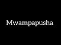 Fountain Of Praise - Mwampapusha