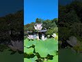ハス池と生蓮寺本堂　奈良県五條市　　 #蓮和尚 #空海 #旅行