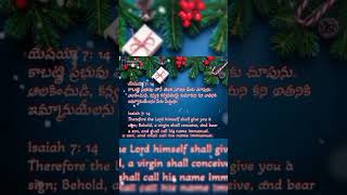 Birth of christ verses...christmas messages..