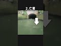 【トラウマ注意!】カメラが捉えた恐怖の心霊映像3選! #shorts #心霊 #ゆっくり解説