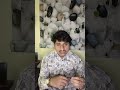 NumPy Arrays vs Python Lists ⚡ | Python for ML Beginners
