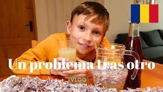 #23 Bebidas con flor de Lilo para los problemas/ slow living in Romania