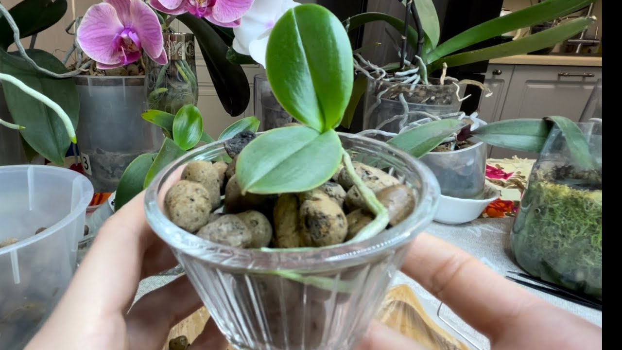 Длинное и скучное видео да еще и на «больную» голову🫣another boring video😴