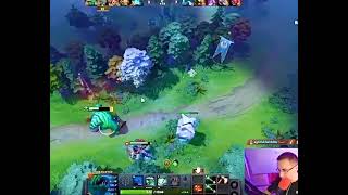 dota2 webm