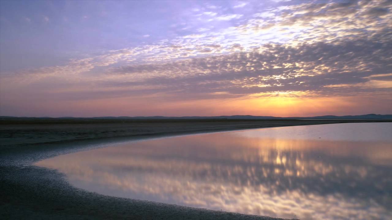 The Magic Qatar Landscape Exhibition - YouTube
