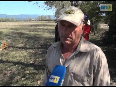 სოფელი მეორე სვირი