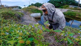 I found a deep hole stacked with micro tarpon! by Eric Estrada 2,104 views 6 months ago 14 minutes, 19 seconds