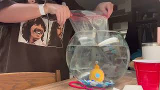 COM114 Instructional video