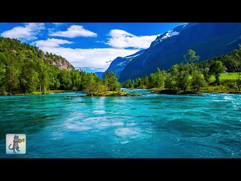 3 Hours of Amazing Nature Scenery \u0026 Relaxing Music for Stress Relief.