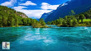 3 Hours of Amazing Nature Scenery \& Relaxing Music for Stress Relief.