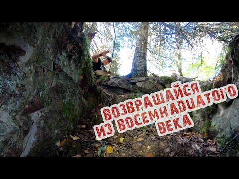 Коп по Войне: Мы нашли старый погреб под фундаментом .Старые хутора хранят тайны этих мест .