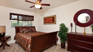 Elan Cardiff By The Sea Apartments in Cardiff by the Sea, CA - ForRent.com