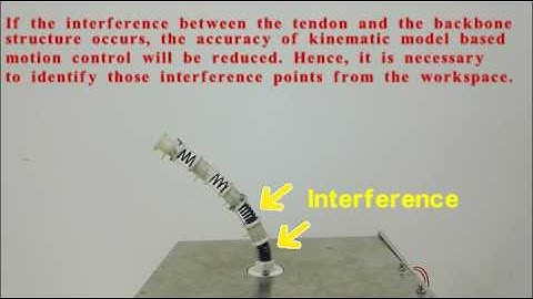 Workspace Analysis of Tendon-driven Continuum Robots Based on Mechanical Interference Identification