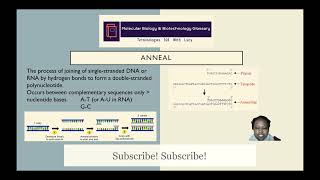 ANNEAL #Primers #Glossary #Terminologies101withLucy #MolecularBiology #Biotechnology