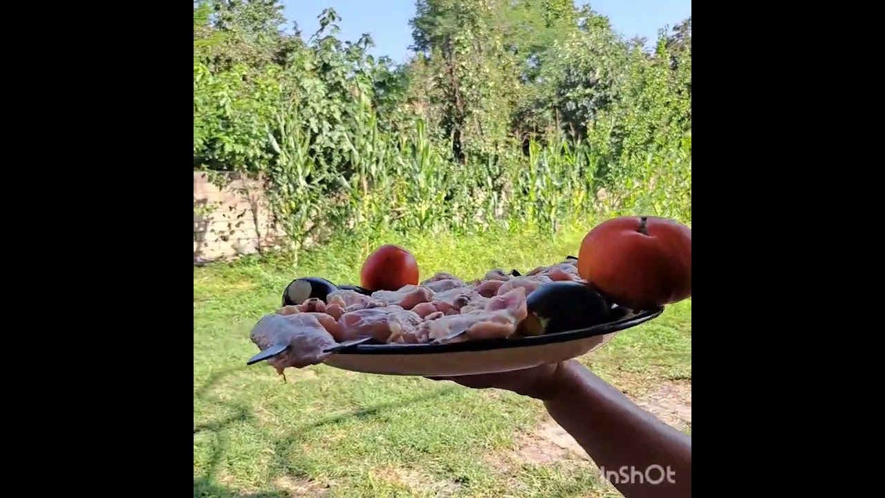 Chiken kebab in Zaqatala-Aliabad./Кебаб из курицы в деревенских условиях...