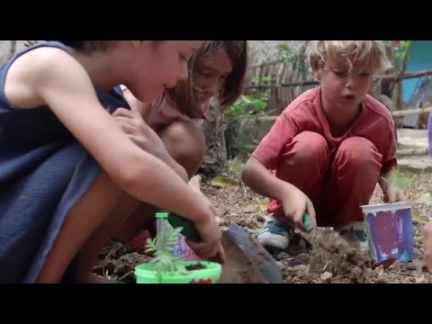 Green School Learning Neighbourhood: Primary School