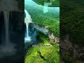 THIS RAINFOREST IS TRULY AMAZING TO OUR EARTH!? 🤯😱