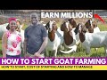 How To START GOAT FARMING Business And EARN Millions