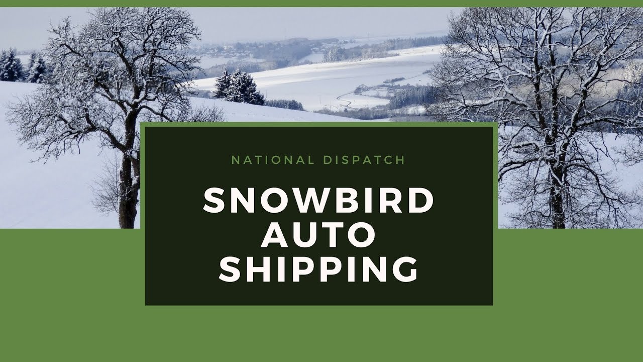 Snowbird Auto Shipping National Dispatch YouTube