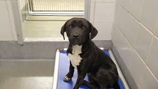 acs A654126