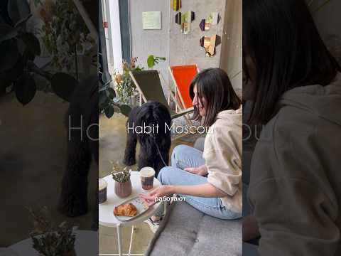 С афганской борзой в кафе! Гуляем по Новогиреево!