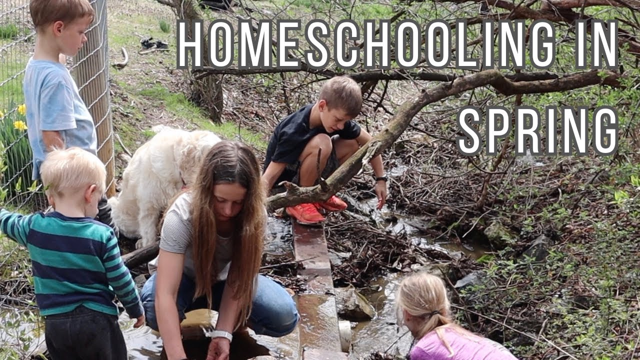 Spring Homeschooling | DIL Mom of 10 - YouTube