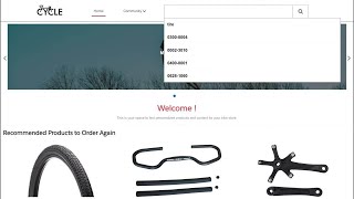 Coveo AI-Powered Search for B2B Ecommerce