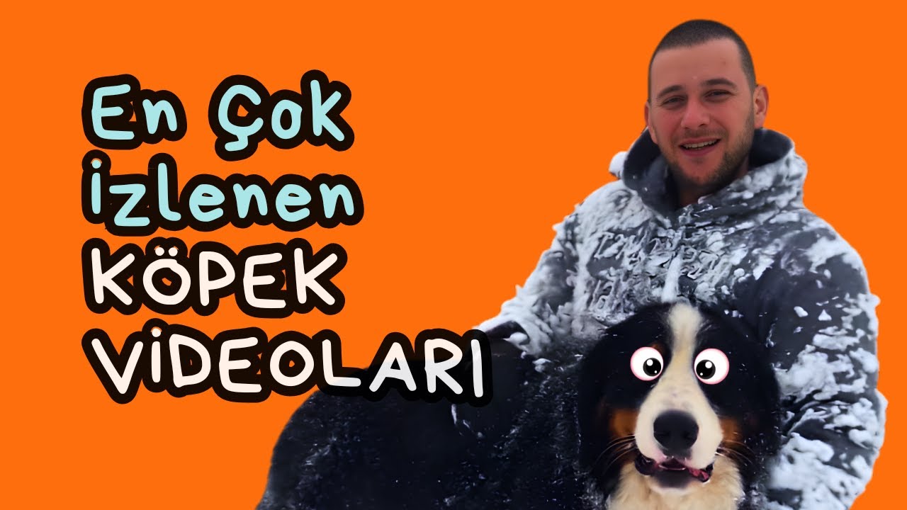 Viral Videoları Yorumluyorum || 15 Ocak 2026 