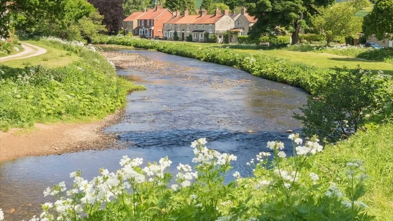 a quiet playlist for romanticizing morning 🍀 beautiful quiet life