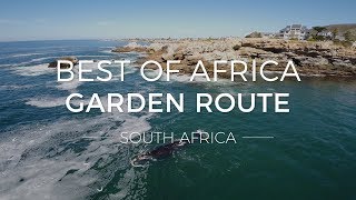 Discover the Garden Route - Best of Africa | Rhino Africa