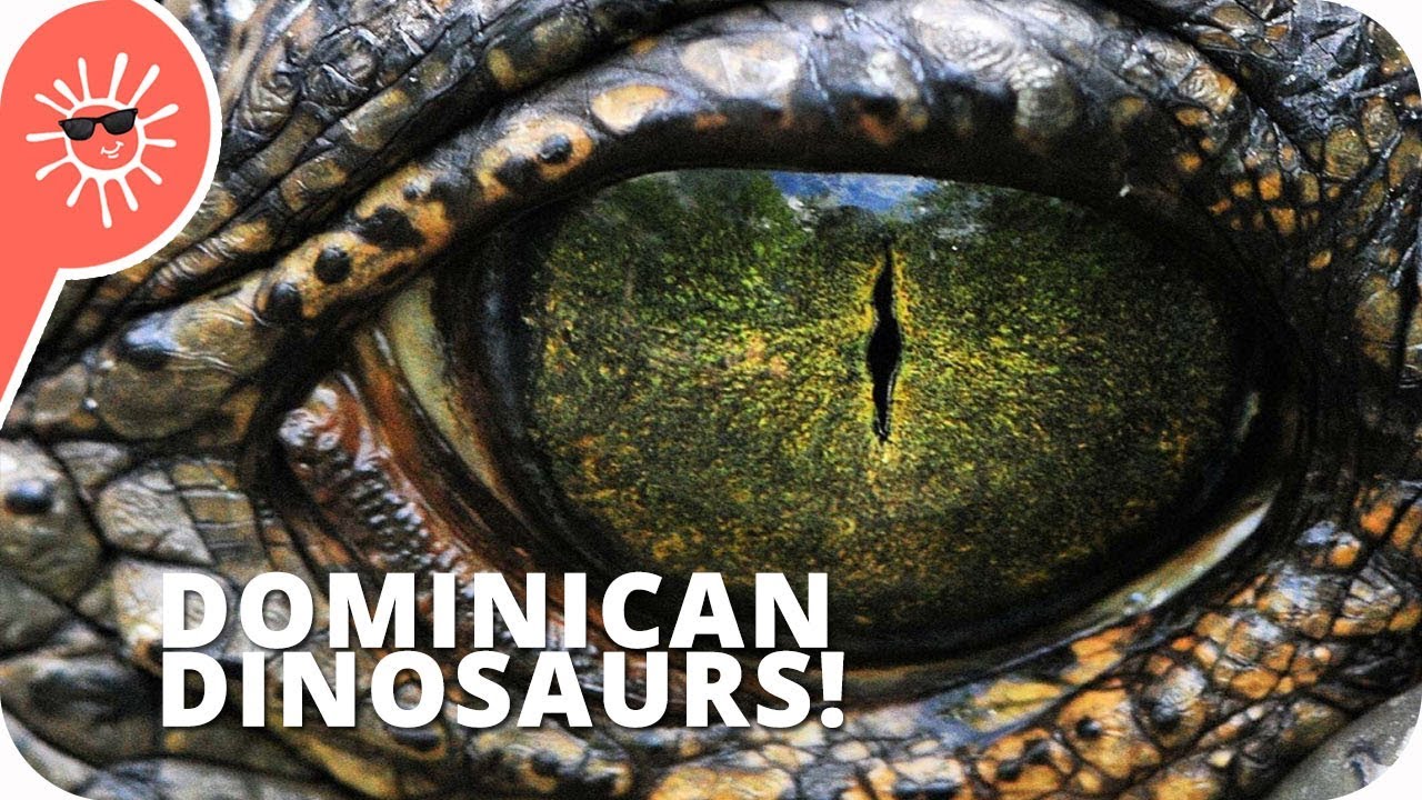 ⁣5 'Dinosaurs' That Still Exist In Dominican Republic & Haiti