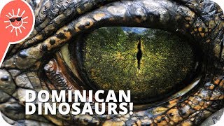 5 Dinosaurs That Still Exist In Dominican Republic Haiti