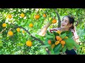 Have you ever taste this wild fruit | Rare fresh fruit pick and eat | Sweet fruit eating