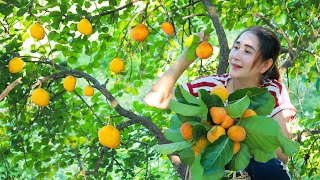 Have you ever taste this wild fruit | Rare fresh fruit pick and eat | Sweet fruit eating