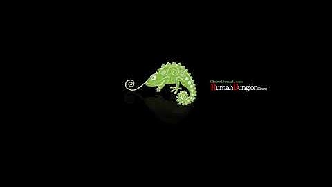 MOMONON-SEMANGAT OKE (Official Music Video)