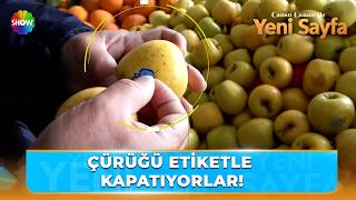 Çürük elmada "etiket" oyunu!