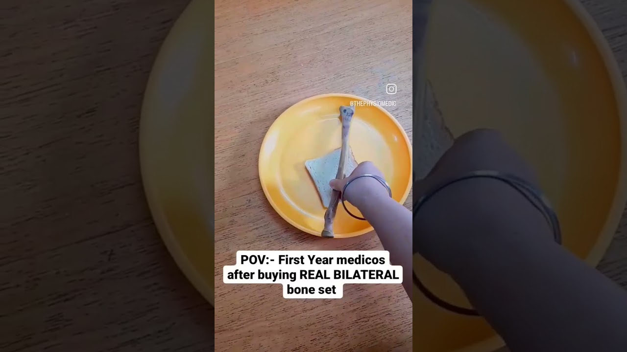 Real bilateral Bone set 