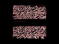 PIPELINEEXPLOSION - parallel dimension (2020) - 16 six