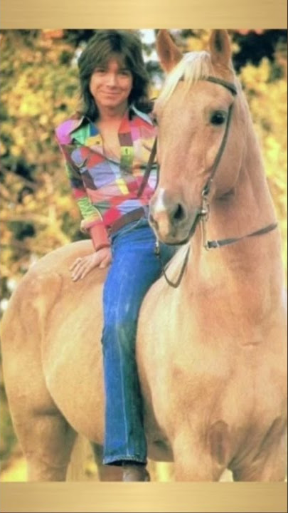 David Cassidy ~ I Think I Love You