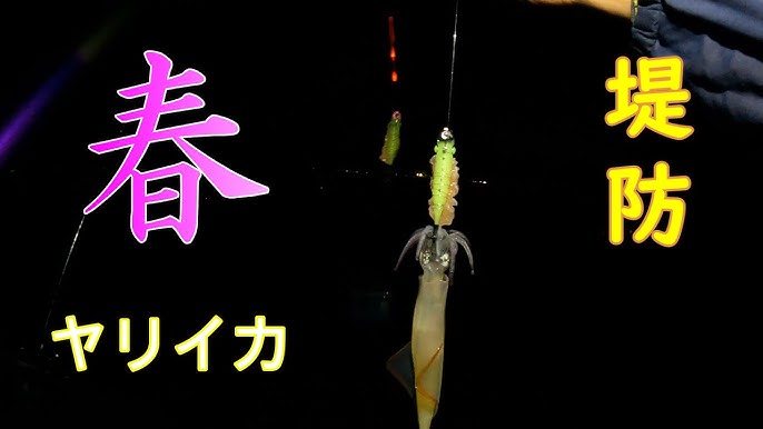ウキ釣り ヤリイカ 釣れるポイント Youtube ウキ釣り ヤリイカ 釣れるポイント Youtube