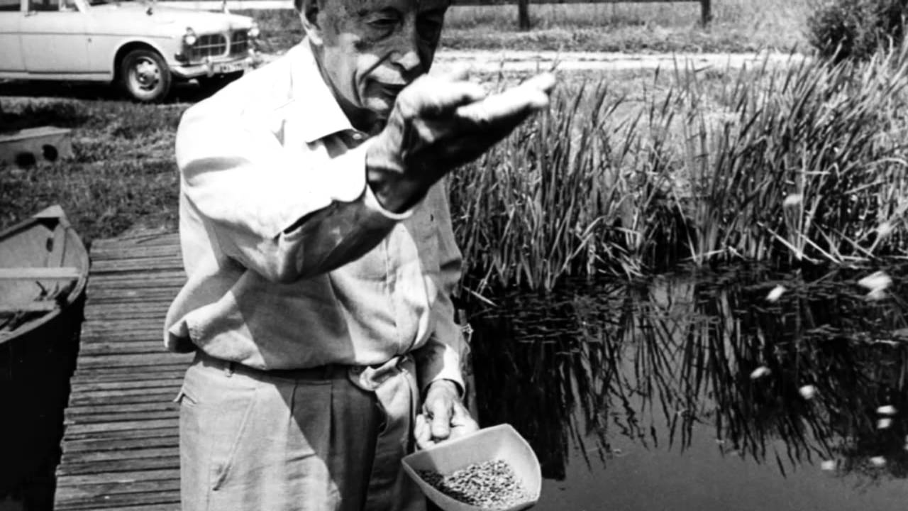 Brevduvor användes för utpressning