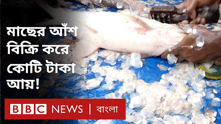 বাংলাদেশে ফেলে দেয়া মাছের আঁশ কিভাবে রপ্তানিপন্য হয়ে উঠলো?