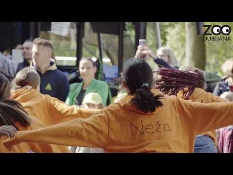 Kampanja poZOOr!: Bodi vZOOren, bodi poZOOren v ZOO Ljubljana