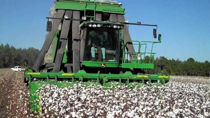 2009 Picking Cotton - DEJ Turner Farms