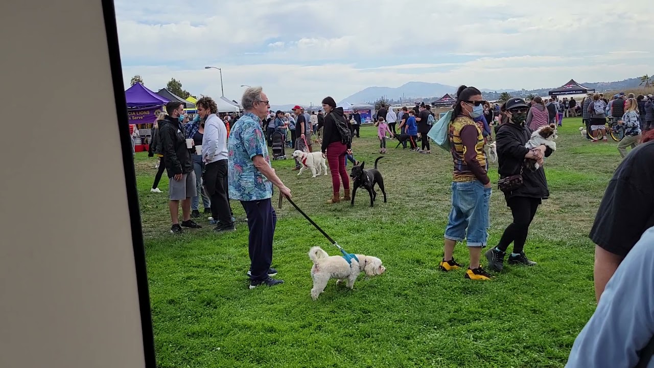 20211017 Benicia Dog Festival COMBINED YouTube